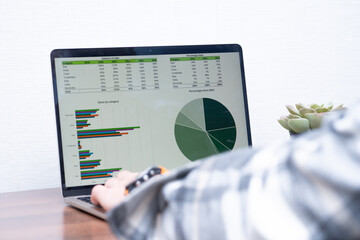 Data Analyst at Work - Close-Up of Laptop Screen with Tables and Charts