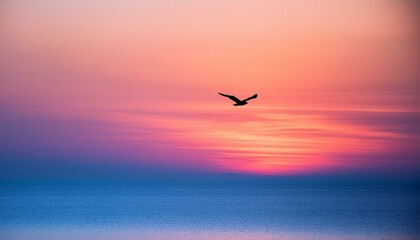 Fototapeta premium Seabird flying at sunset