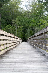 wooden pathway bridge trail 