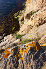 Rocky shoreline with lichen at the Bulgarian Black Sea near Ahtoto Cape, Sinemorets, Tsarevo Municipality, Province of Burgas