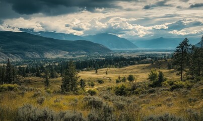 Landscape near Invermere