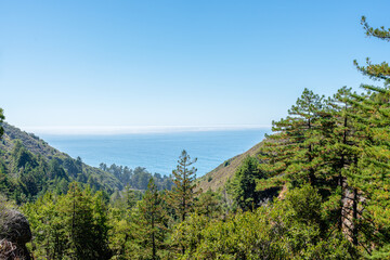 Obraz premium view from the mountain with forest and ocean