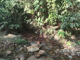 jalapão paisagens de tirar o folego