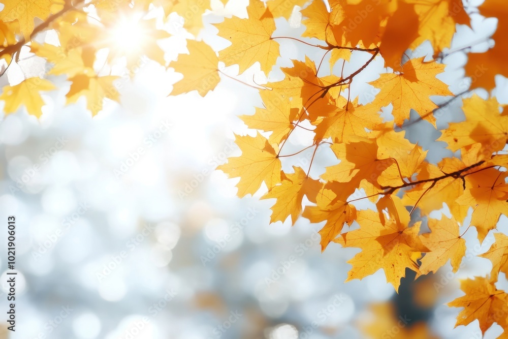 Aufkleber background with yellow maple leaves in the sun, creating an autumnal atmosphere generative ai