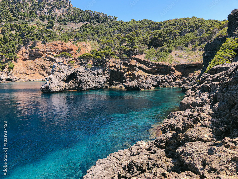 Wall mural seascape of sea pool in the mediterranean with rocky tree covered cliffs in background and clear blue sky