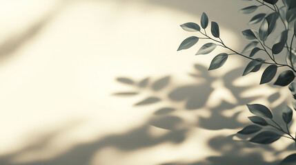 A close-up view of leaves casting beautiful shadows on a soft, light-colored background, creating a serene and calming atmosphere.