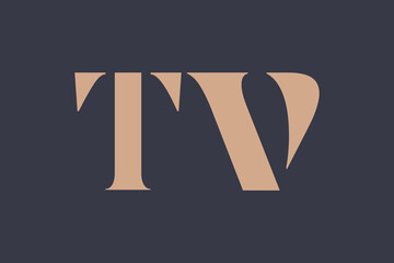 Abstract letter TV logo. This logo icon incorporate with abstract shape in the creative way. 