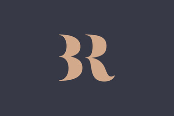 Abstract letter BR logo. This logo icon incorporate with abstract shape in the creative way. 
