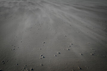 Wind Swept Sand on a Coastal Beach