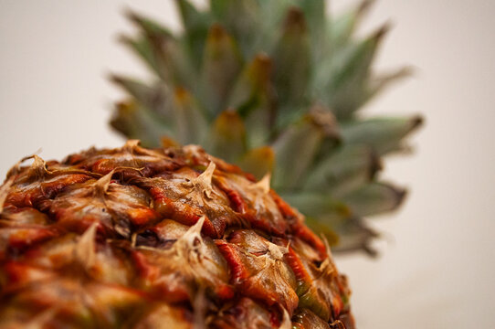 pineapple-1