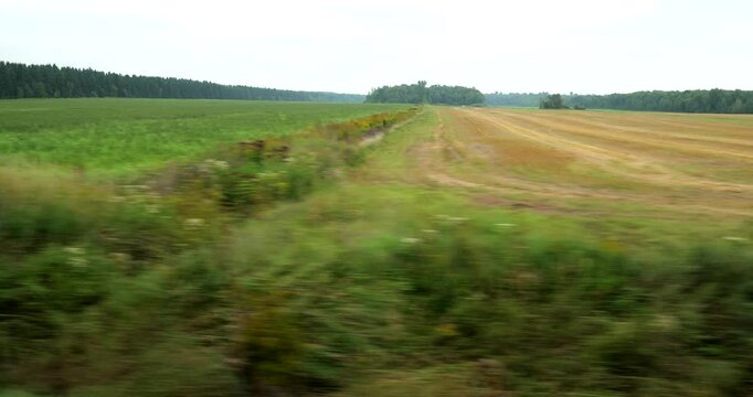 Driving plate side view on a highway through open plains and farmland in Midwestern United States agricultural fields under a wide sky rural travel and American heartland concept