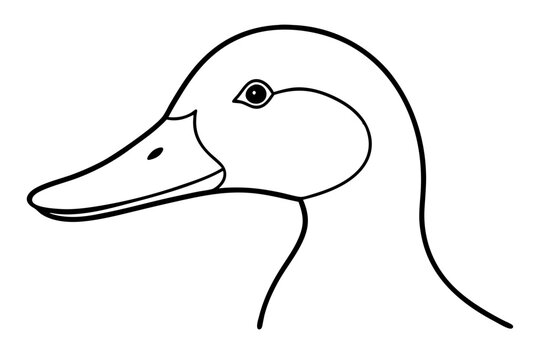 recommend clip art: duck head line art vector illustration