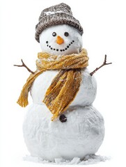 Obraz premium a snowman isolated on white background 