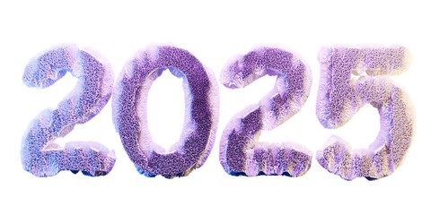 Fuzzy Happy New Year 2025 3D Render Text