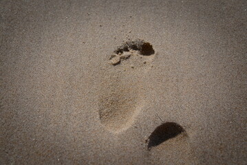 First Steps: Baby Footprint in the Sand