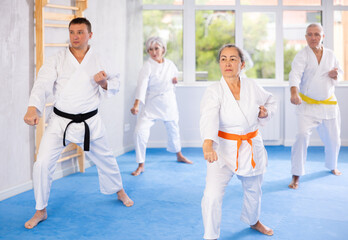 In gym, karate class senior students independently perform basic movements and repeat to hold pose, learning technique of kata. Oriental martial arts, training and obtaining black belt