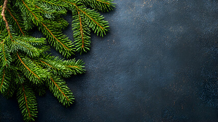 Beautiful Christmas background of fresh evergreen pine branches on a dark background.