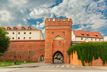 Historic medieval Brama Mostowa Gate, covered with ivy, made of red brick in Torun, Poland