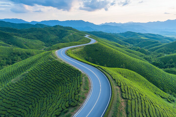 Beautiful road through the green tea plantation in the mountains