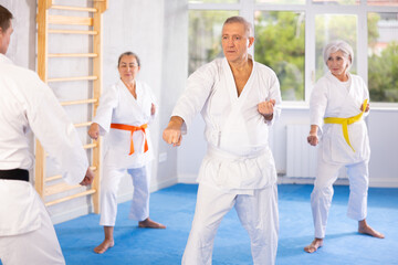 Obraz premium Group of mature students in karate kata class stands facing unrecognizable coach and repeats combat movements, dodged blow