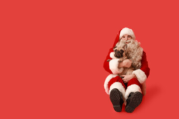 Santa Claus with French bulldog on red background