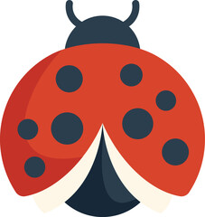 Cute ladybug is opening its wings to take flight