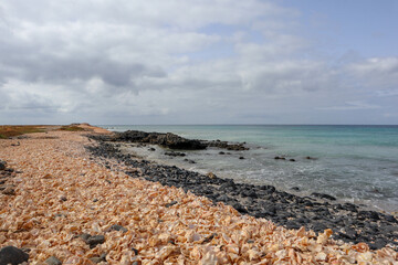 Shell Cemetery Beach, Santa Maria, Sal, Cape Verde, Africa: Beach made of shells next to the sea,...