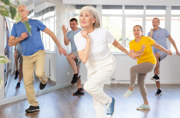Positive elderly woman practicing Tai Chi with group of aged people, promoting health and wellness...