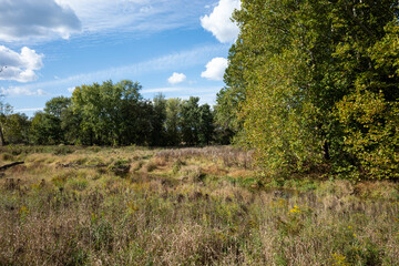 Stream, floodplain and wetland restoration along a small stream. It includes stabilizing and or altering the stream channel to slow and direct the flow of water to reduce erosion and flooding.