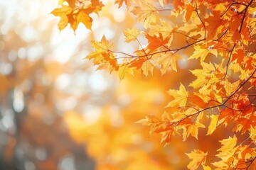 Obraz premium Fallen Leaves Season Background