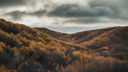 Cloudy Afternoon with Orange and Yellow Leaves
