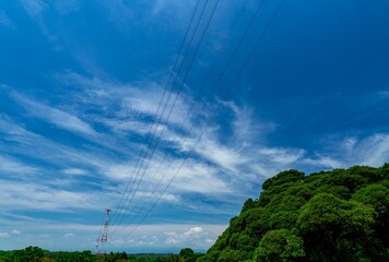 Obraz premium 夏の空