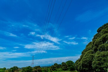 夏の空