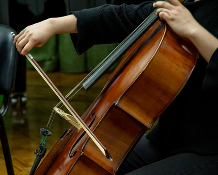 Violonchelo