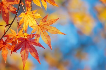 Fallen Leaves Season Background created with Generative AI