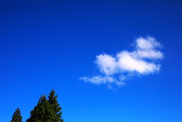 青空に浮かぶ白い雲