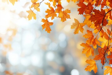 Fallen Leaves Season Background created with Generative AI