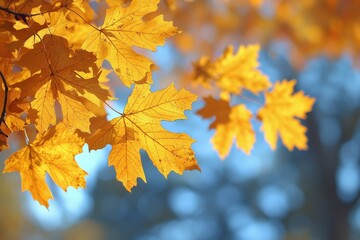 Fallen Leaves Season Background created with Generative AI