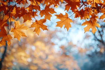 Fallen Leaves Season Background created with Generative AI