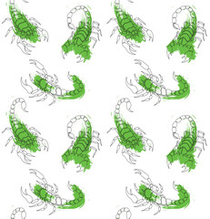scorpion pattern vector design illustration white green