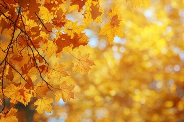 Fallen Leaves Season Background created with Generative AI