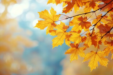 Fallen Leaves Season Background