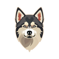 flat design husky dog front face
