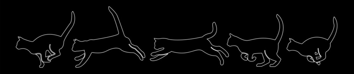 the process of the cat moving in white lines on a black background