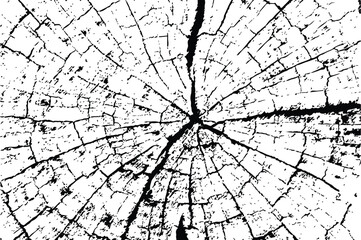 wooden circle texture
