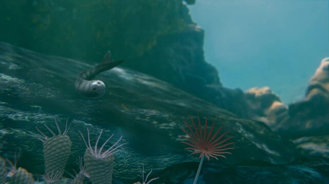Silurian Period Jawless Fish Jamoytius Animation. Jamoytius kerwoodi is an extinct eel-like fish that lived 443.8&ndash;427 million years ago.