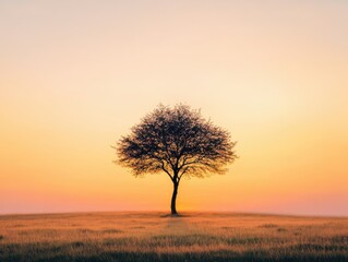 Obraz premium Solitary tree silhouetted against a vibrant sunset, showcasing natural beauty and tranquility in an open landscape.
