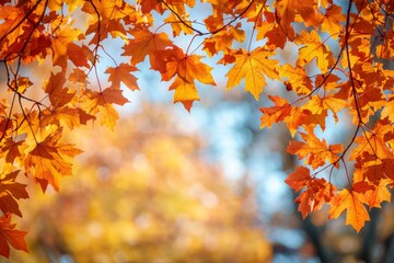 Obraz premium Fallen Leaves Season Background