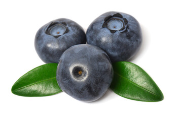 Blueberry macro with leaves isolated on white background