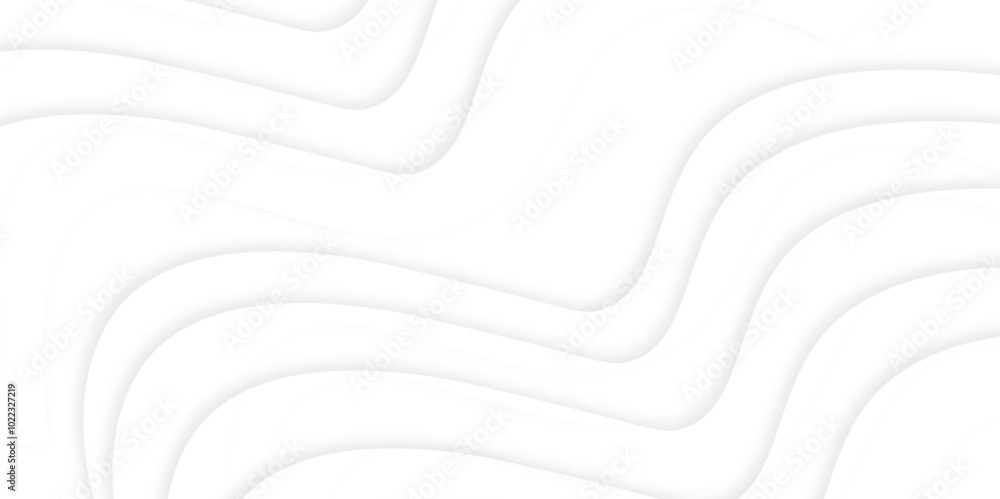 Poster abstract curve line white background. soft smooth lines curving to form a surface of light and white